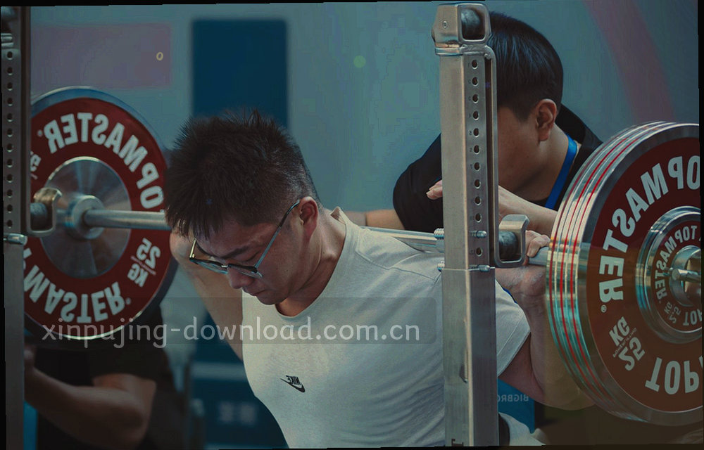 五个分组色块与差异刻度，不含人物与文字说明